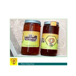 عسل شهد طبیعی کوهی | یک کیلوگرم