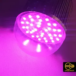 لامپ رشد گیاه خانگی 36 وات پایه E27