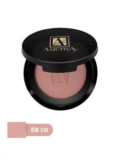 رژگونه پودری آموتیا شماره BW510