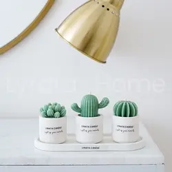 پک هدیه کاکتوس