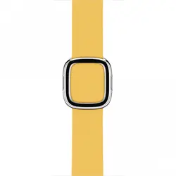 بند اپل واچ Modern Buckle - مک استور - فروشگاه لوازم جانبی و پشتیبانی اپل
