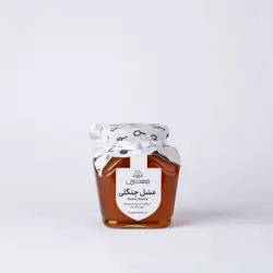 عسل جنگلی (500 گرم)