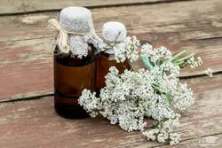 روغن بومادران - 1 لیتر