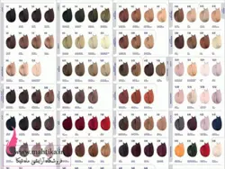 رنگ مو بدون آمونیاک آلبورا؛ پخش عمده؛ ارزان ترین قیمت بازار - آرایشی عمده ماهتیکا