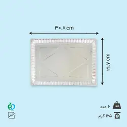 سینی 30 * 20 نقره ای