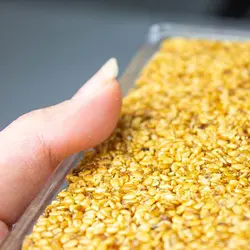 خرید کنجد شکری برند نقل قاسمی سنندج - 500 گرم