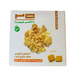 خرید آدامس گیاهی سقز و کندر برند 20 تبریز - 250 گرم
