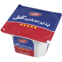 پنیر امل 100گ