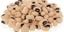 پیوند مزرعه لوبیا چشم بلبلی 400گ