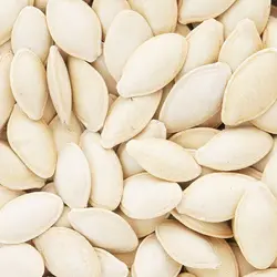 تخمه کدو درشت