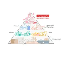 سس سالاد چیلی دلپذیر 450 گرمی
