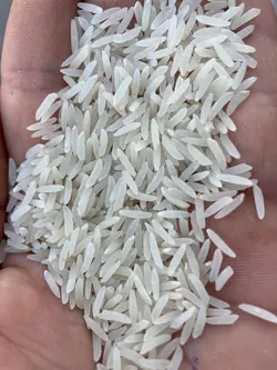 برنج فجر ممتاز | فروشگاه اینترنتی برنج مردانی