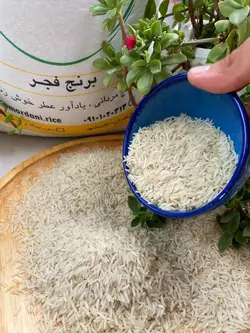 برنج فجر ممتاز | فروشگاه اینترنتی برنج مردانی
