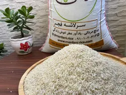 سرلاشه فجر | فروشگاه اینترنتی برنج مردانی