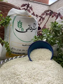 نیم دانه کشت دوم بینام (امراللهی) | فروشگاه اینترنتی برنج مردانی