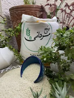 نیم دانه کشت دوم بینام (امراللهی) | فروشگاه اینترنتی برنج مردانی