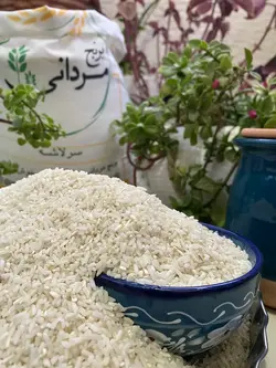 سرلاشه هاشمی | فروشگاه اینترنتی برنج مردانی