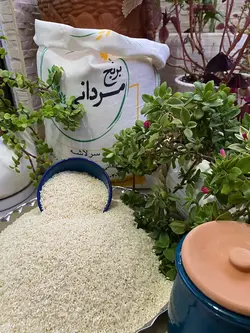 سرلاشه هاشمی | فروشگاه اینترنتی برنج مردانی