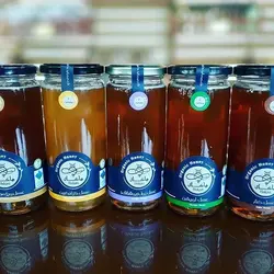 عسل آویشن _600گرم_