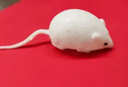 میشبال موش فیجت جداب و دوست داشتنی و وسیله شوخی و سرگرمی فروشگاه مارکت تویز