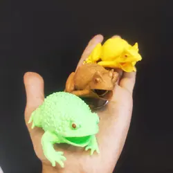 میشبال قورباغه  تخم گذار