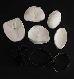 ست کاتر و وینر گل ارکیده