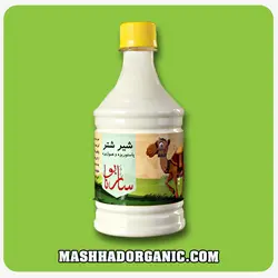 شیر شتر پاستوریزه و ارگانیک ساربونا (500 سی سی)