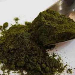 ادویه قورمه سبزی