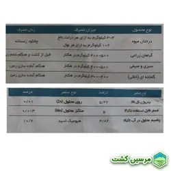 NPK 5-5-5 Xgreen کود کامل NPK 5-5-5 ایکس گرین