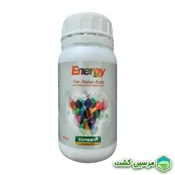 XGreen Energy Amino Acid 250 ml آمینو اسید انرژی ایکس گرین 250 میلی لیتر