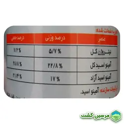 XGreen Energy Amino Acid 250 ml آمینو اسید انرژی ایکس گرین 250 میلی لیتر