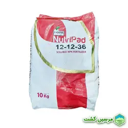 NPK 12-12-36 Nutripad Padena کود پتاسیم بالا پادنا