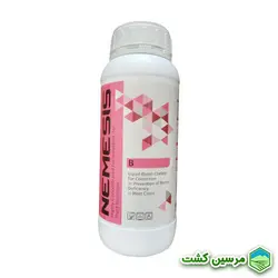 Nemesis Boron Perinova نِمِسیس بُر (بور) پرینوا
