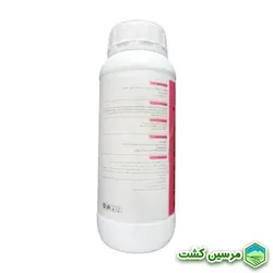 Nemesis Boron Perinova نِمِسیس بُر (بور) پرینوا