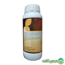 Fruitset Padena فروت ست پادنا