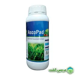 Ascopad Padena کود عصاره جلبک آسکوپاد پادنا