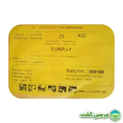 Green Bean Sunray Proseed Holland بذر لوبیا سبز سانری پروسید هلند