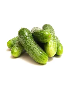 خیار (ممتاز)