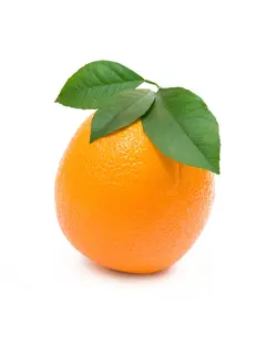 پرتقال