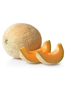 طالبی