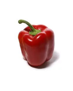 فلفل دلمه رنگی