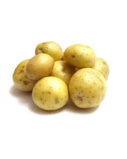 سیب زمینی