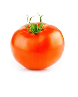 گوجه فرنگی
