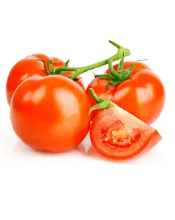 گوجه فرنگی