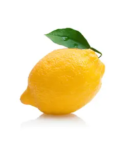 لیمو ترش زرد