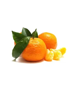 نارنگی (ممتاز)