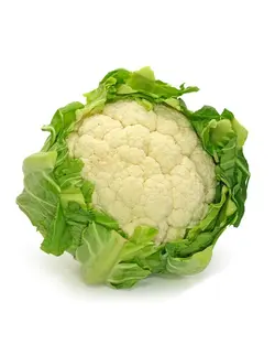گل کلم