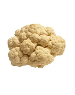 گل کلم