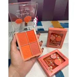 پلت رژگونه ۴ تایی ANYLADY