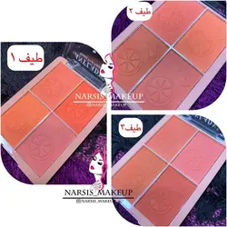 پلت رژگونه ۴ تایی ANYLADY